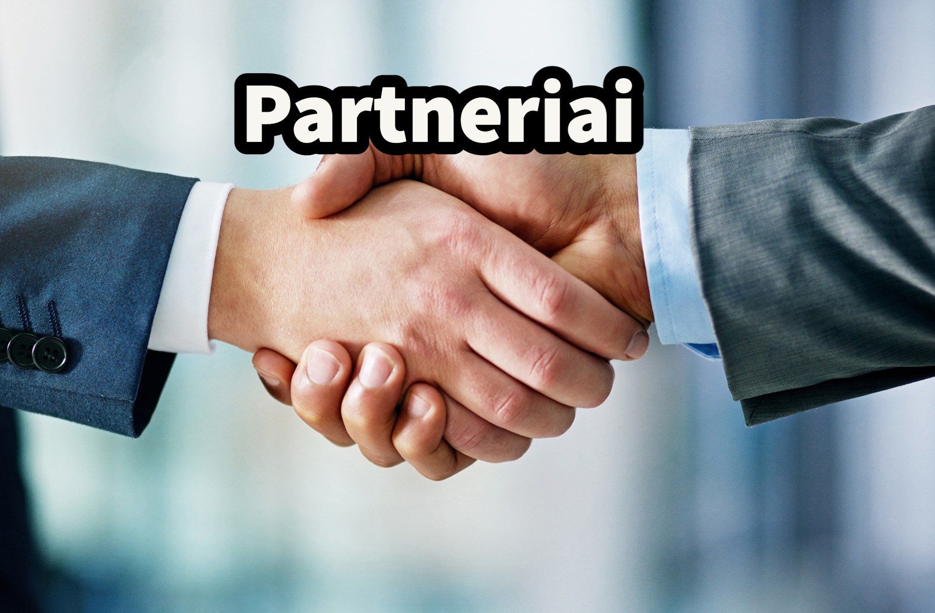 Partneriai